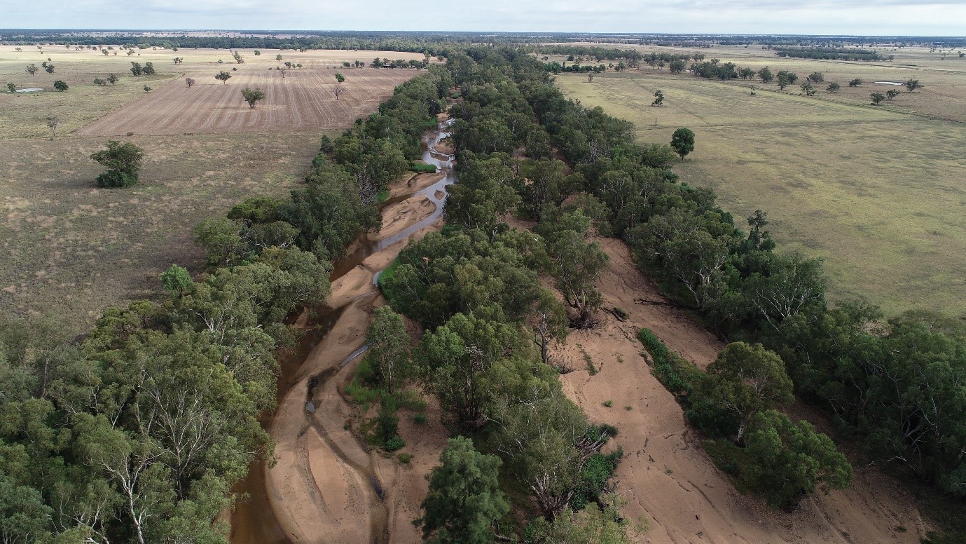 Channel infill in the Castlereagh River below Gilgandra 